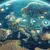 Data Security in 2025: The Overlooked Shift Every Tech Leader Should Be Watching