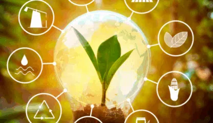 Small Tweaks, Big Impact: How AI Can Go Greener with Smarter Design