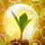 Small Tweaks, Big Impact: How AI Can Go Greener with Smarter Design