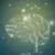 Are Incentives Driving AI Hallucinations?