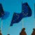 EU Launches €1 Billion Initiative to Accelerate AI Adoption Across Key Industries